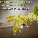 Environnement et écologie : toute une histoire dans Brome-Missisquoi