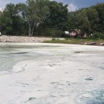 Alerte aux cyanobactéries dans la baie Missisquoi