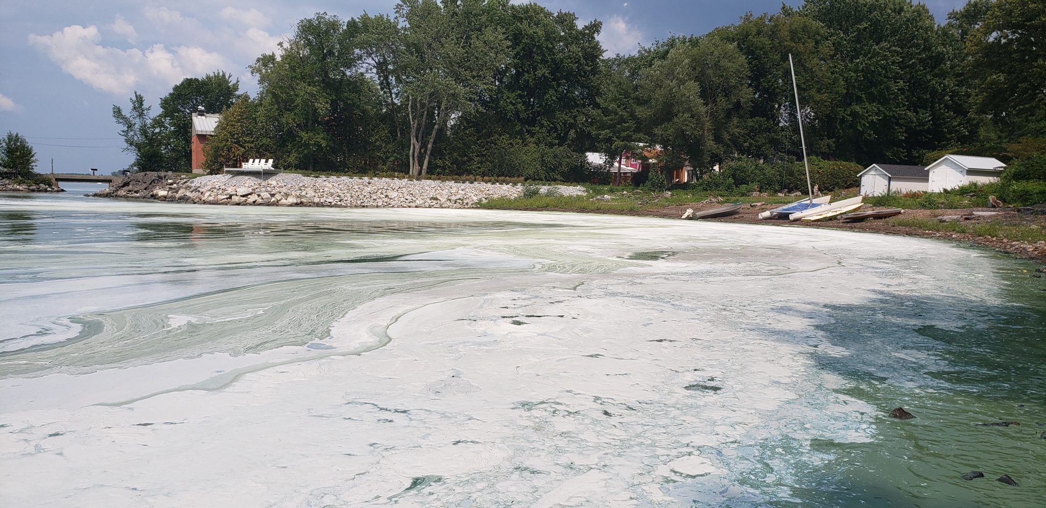 Alerte aux cyanobactéries dans la baie Missisquoi Journal Le St Armand