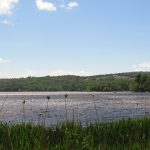 De nouvelles mesures pour protéger le lac Selby